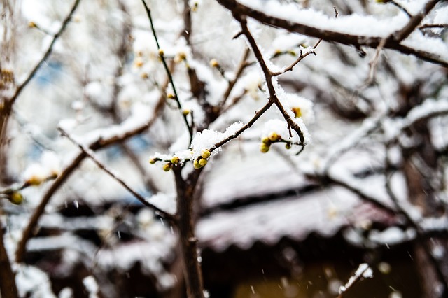 能充滿神秘