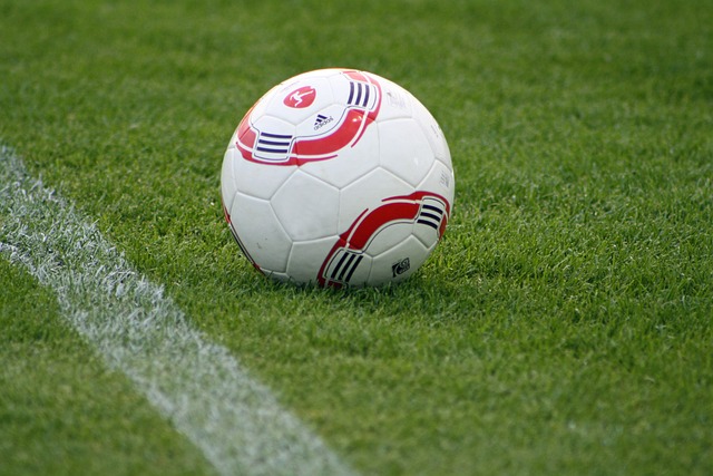 以他如艺术 以他如艺术