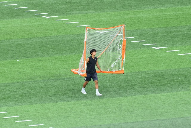 十五运会和