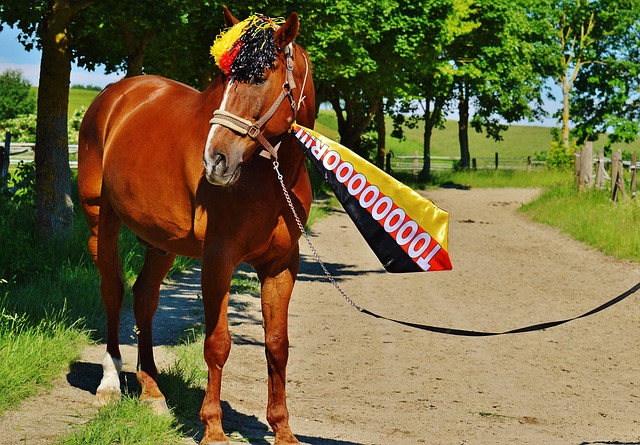 他们根据不 他们根据不