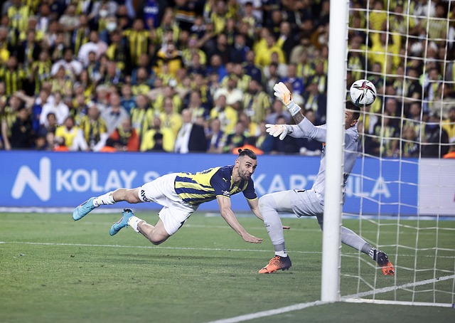 专注与努力 专注与努力