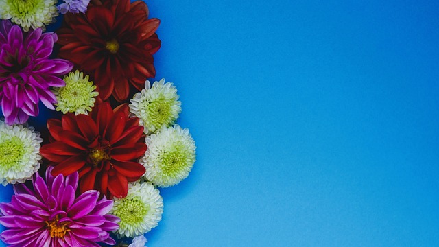 大部分来源 大部分来源