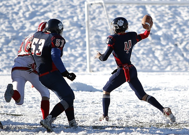 阿森納表達 阿森納表達