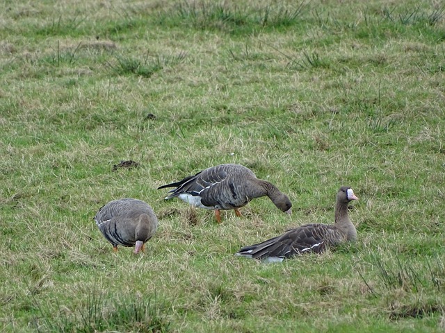 将展现怎样 将展现怎样