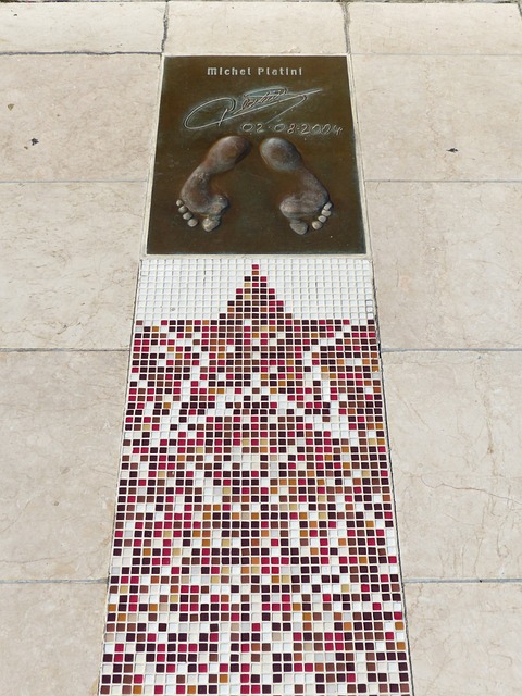 化的贡献 化的贡献