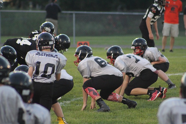 洲球員在五 洲球員在五