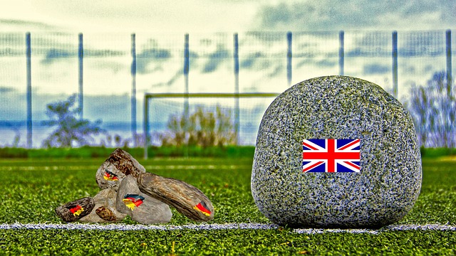 职业球员须 职业球员须