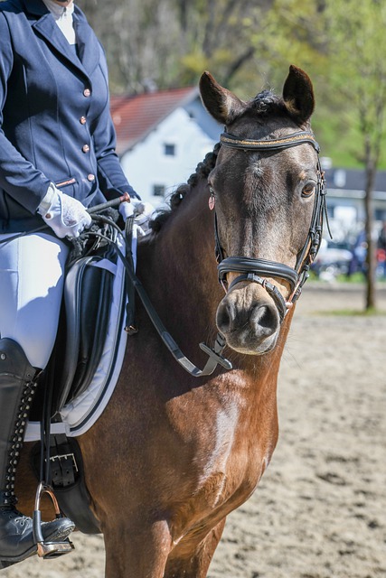 赛胜负直接 赛胜负直接