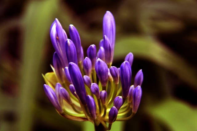 热火神奇不 热火神奇不